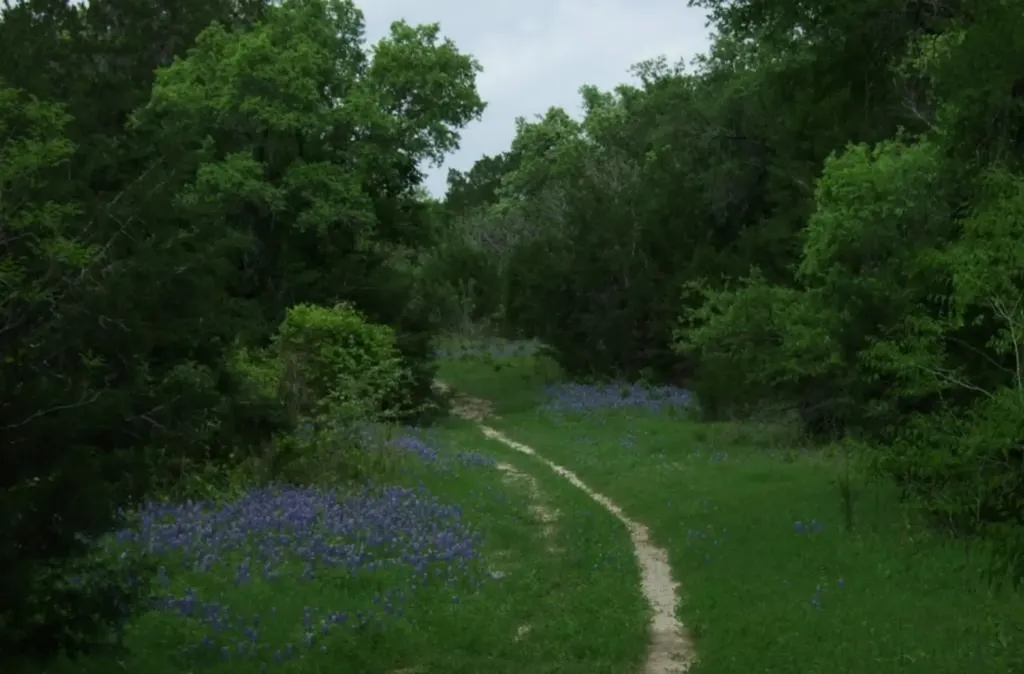 613 Carismatic Lane Austin TX 78748