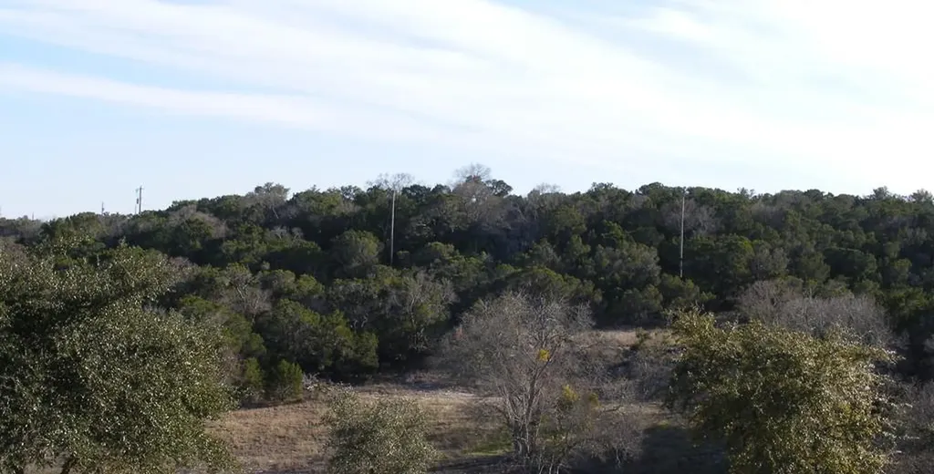 19920 Old Burnet Road Jonestown TX 78645