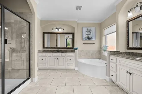 1596 Courmayeur Court Round Rock TX 78665