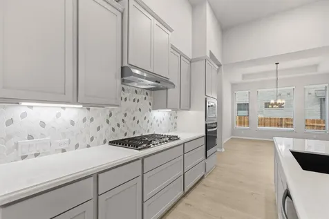 1505 Amanda Paige Drive Georgetown TX 78628