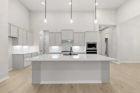 1505 Amanda Paige Drive Georgetown TX 78628