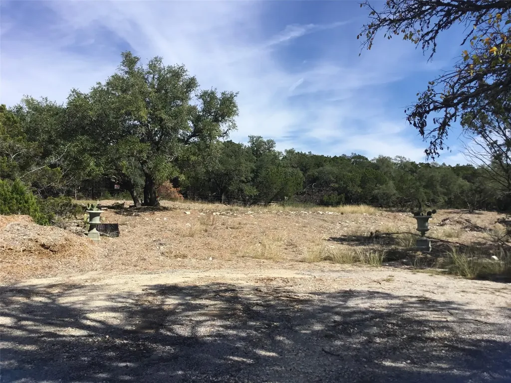 21100 Ringtail Cove Lago Vista TX 78645