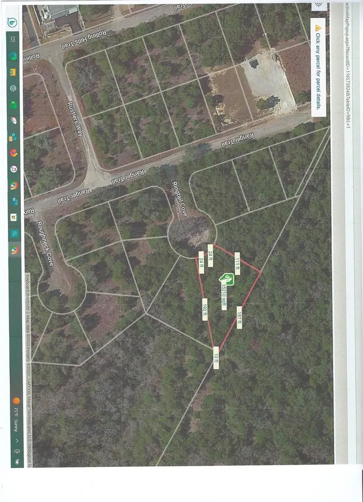 21100 Ringtail Cove Lago Vista TX 78645