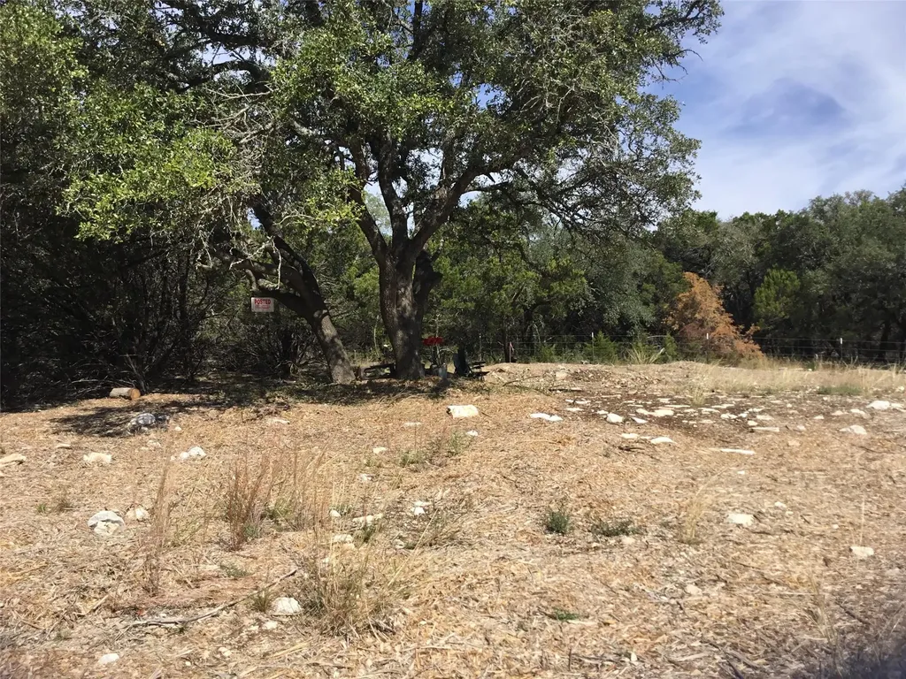 21100 Ringtail Cove Lago Vista TX 78645