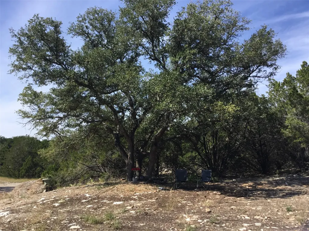 21100 Ringtail Cove Lago Vista TX 78645