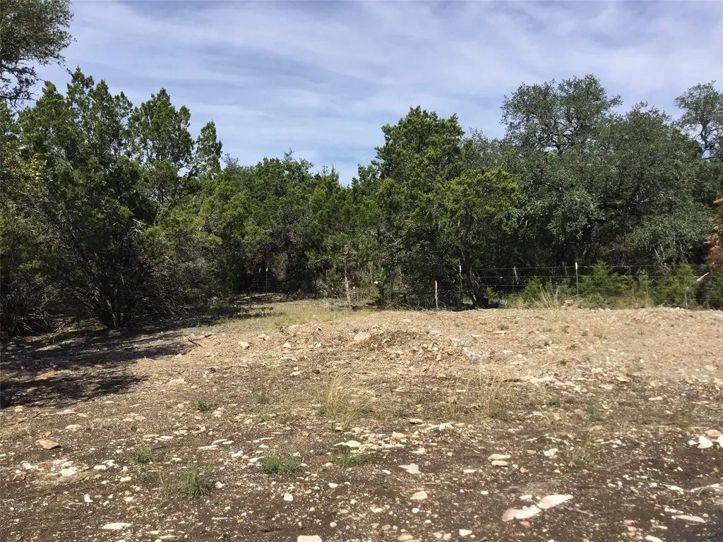 21100 Ringtail Cove Lago Vista TX 78645