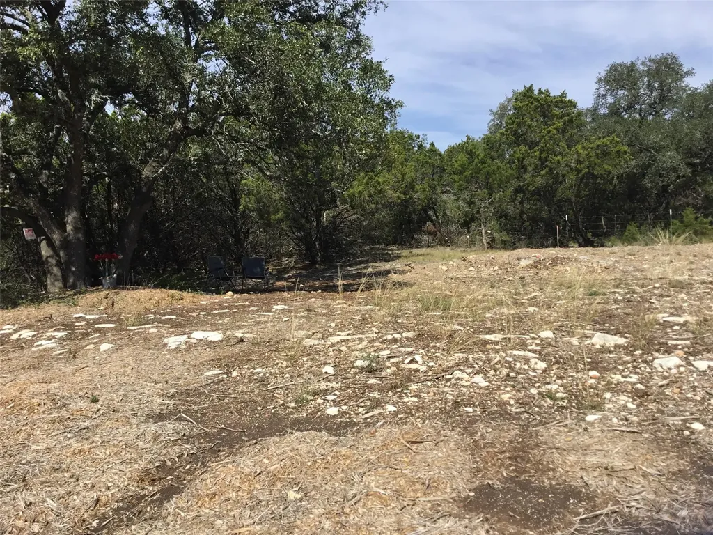 21100 Ringtail Cove Lago Vista TX 78645