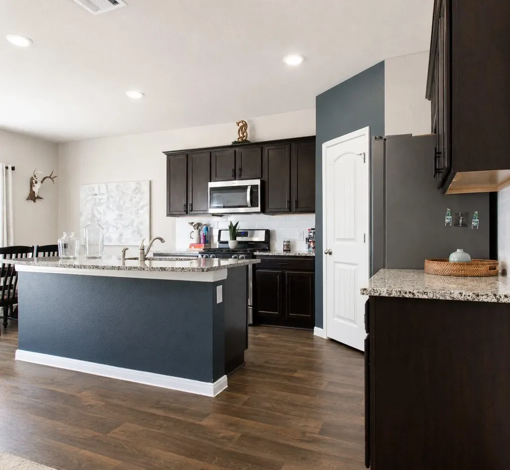 484 Spider Lily Drive Kyle TX 78640