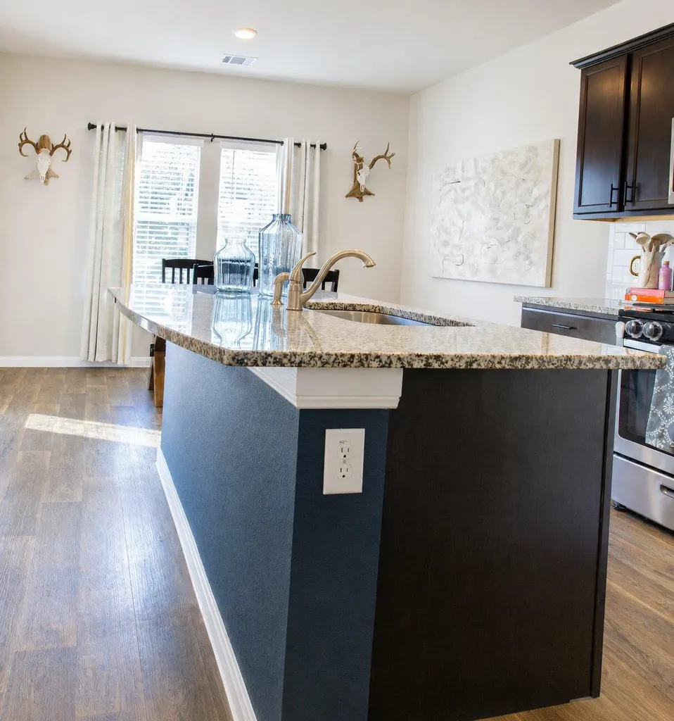 484 Spider Lily Drive Kyle TX 78640