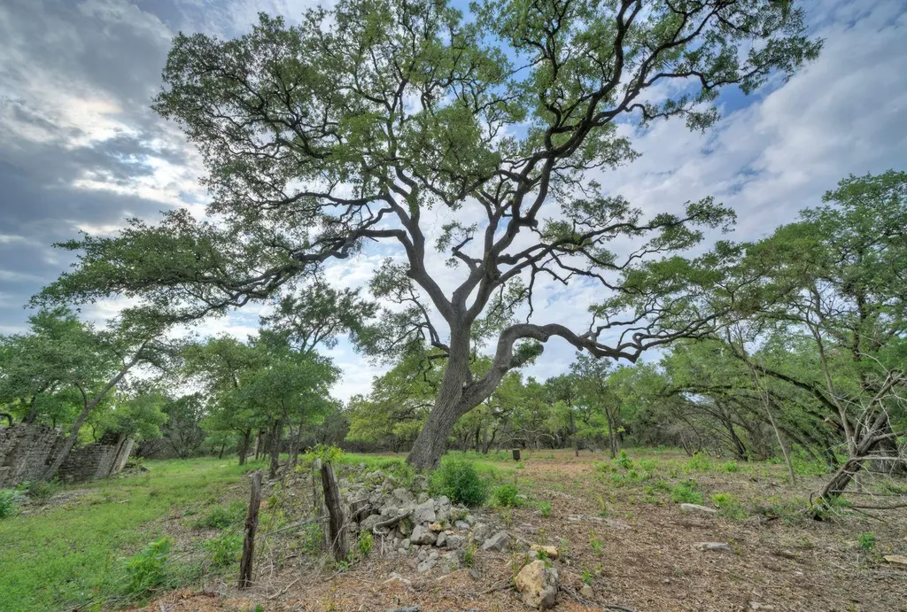 11916 Jim Bridger Drive Austin TX 78737