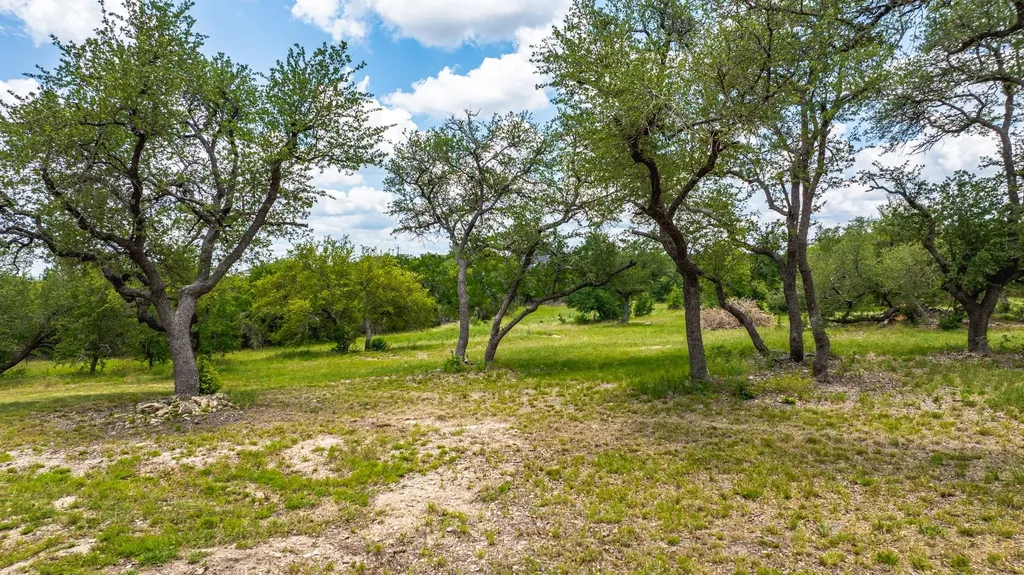 2016 Hidden Hills Drive Dripping Springs TX 78620