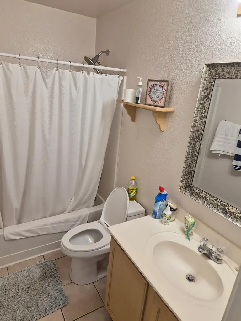 261 Amber Ash Drive Kyle TX 78640