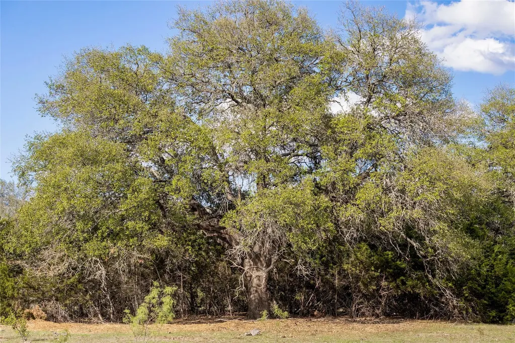 9939 County Road 404 Spicewood TX 78669