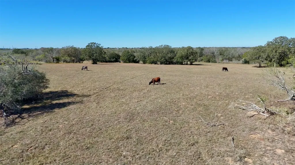 7180 Cr 283 Harwood TX 78632
