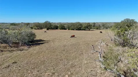 7180 Cr 283 Harwood TX 78632