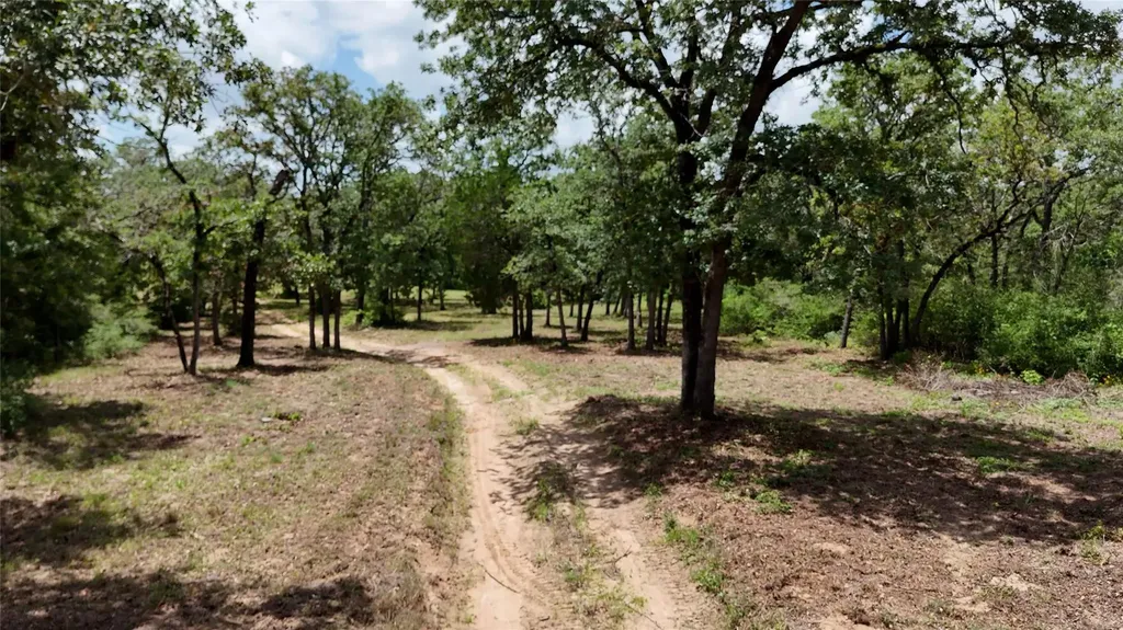 277 Meuth Cemetery Road Red Rock TX 78662