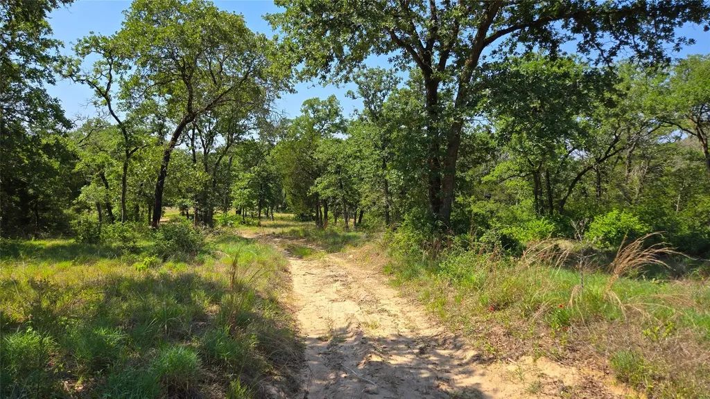277 Meuth Cemetery Road Red Rock TX 78662