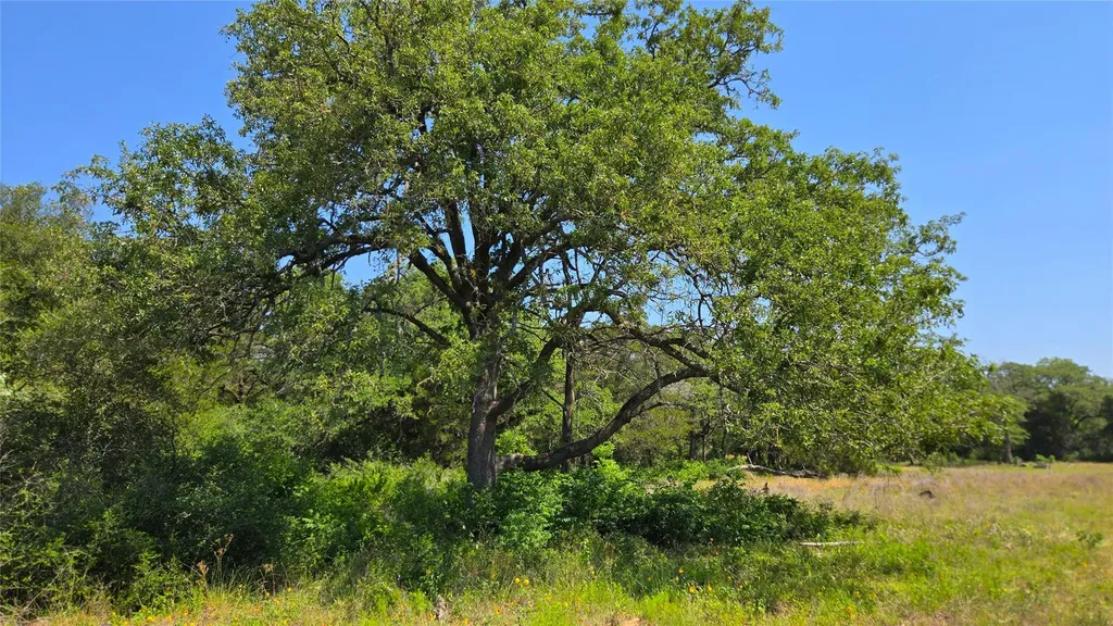 277 Meuth Cemetery Road Red Rock TX 78662