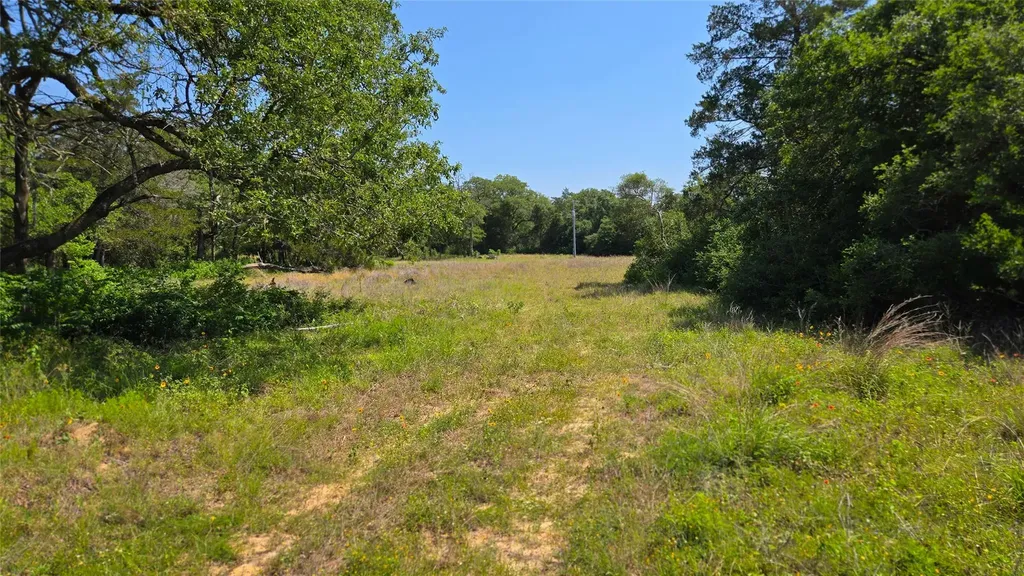 277 Meuth Cemetery Road Red Rock TX 78662