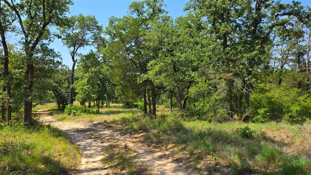 277 Meuth Cemetery Road Red Rock TX 78662