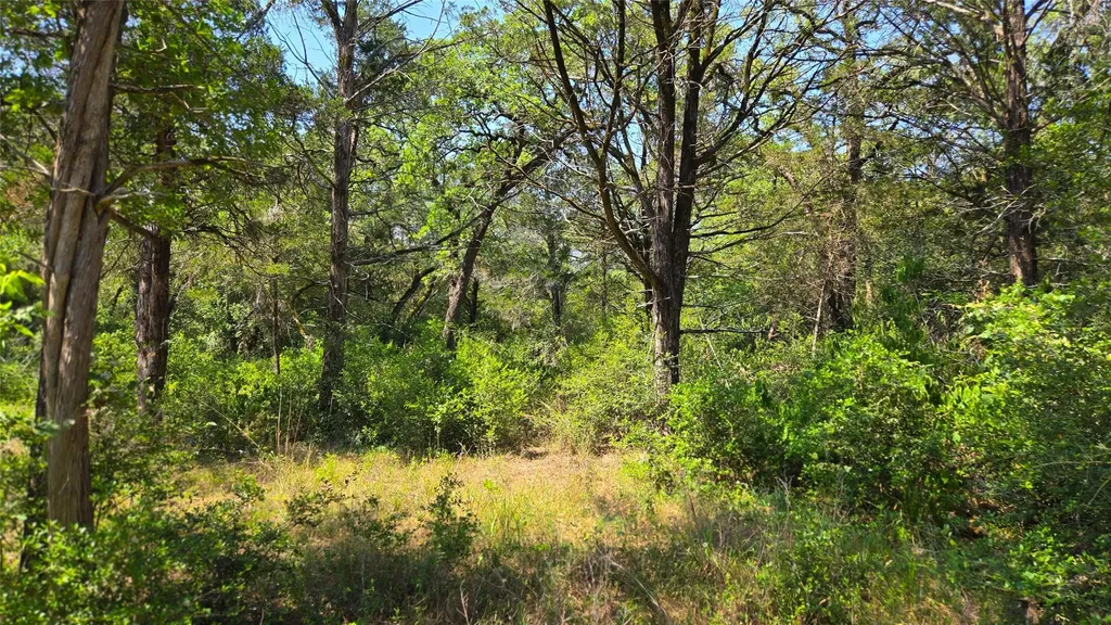 277 Meuth Cemetery Road Red Rock TX 78662