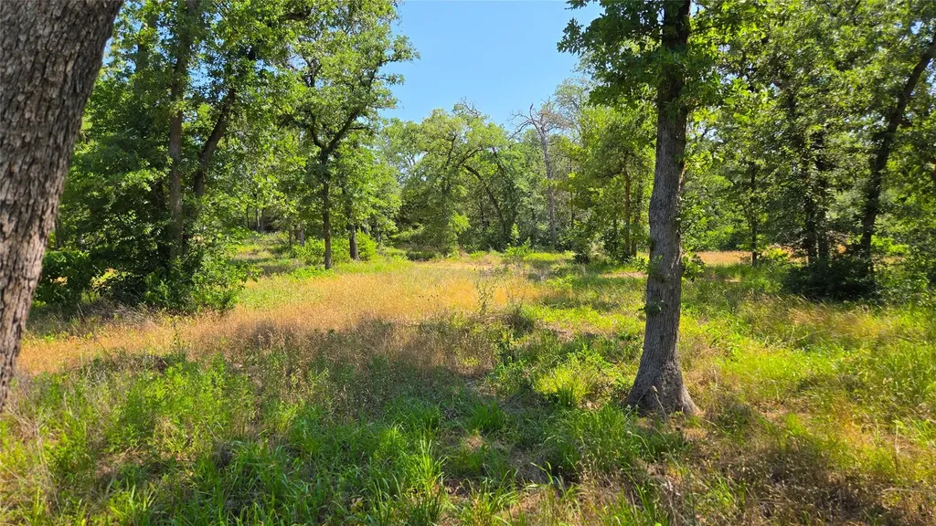 277 Meuth Cemetery Road Red Rock TX 78662