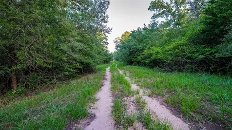 1462 County Road 313 Lexington TX 78947