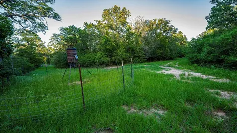 1462 County Road 313 Lexington TX 78947