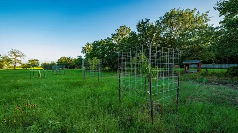 1462 County Road 313 Lexington TX 78947