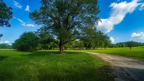 1462 County Road 313 Lexington TX 78947