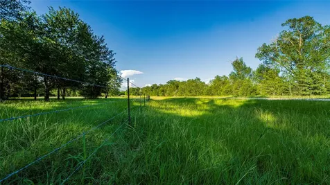 1462 County Road 313 Lexington TX 78947