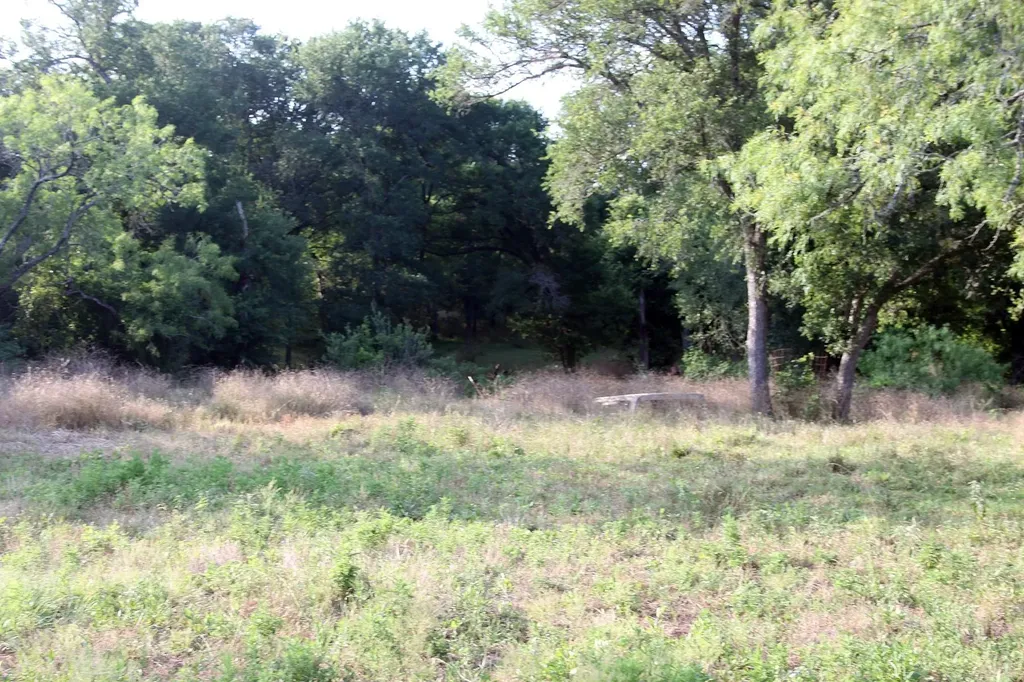 108 Sorrel Street Red Rock TX 78662