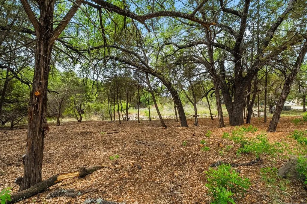 2901 Ticonderoga Cove Lago Vista TX 78645