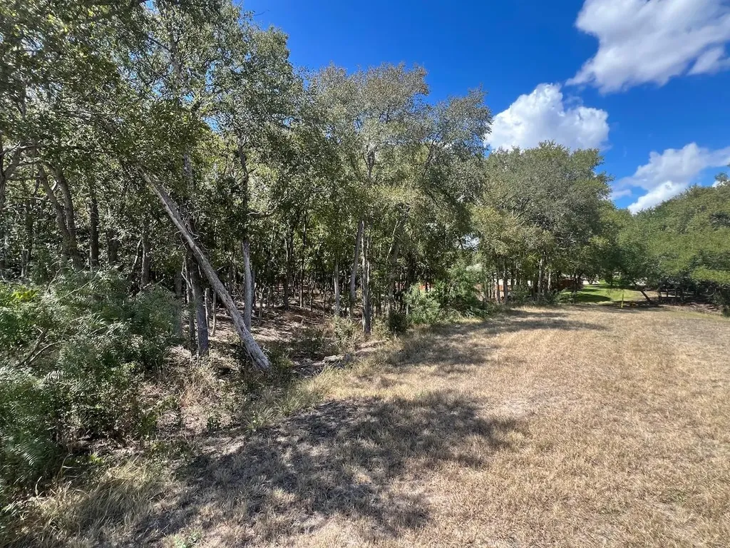 Tbd Pierce Street Luling TX 78648