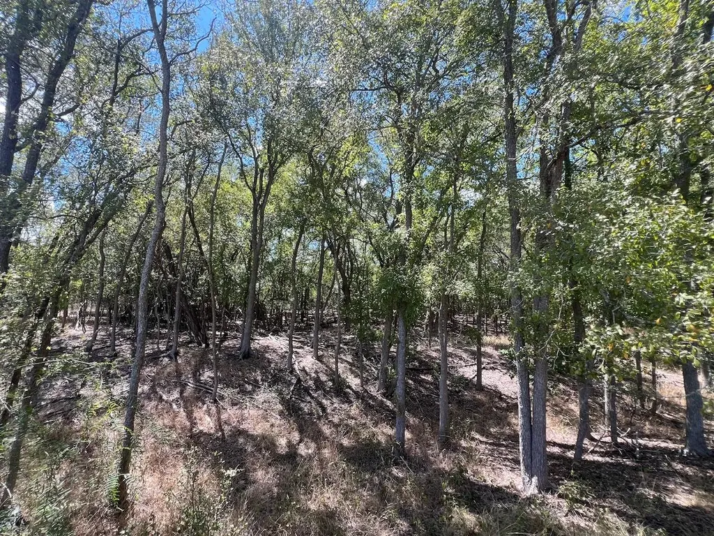 Tbd Pierce Street Luling TX 78648