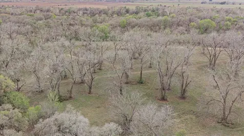 Tbd A23 Cunningham, John C., Acres 29.0000 Road Smithville TX 78957
