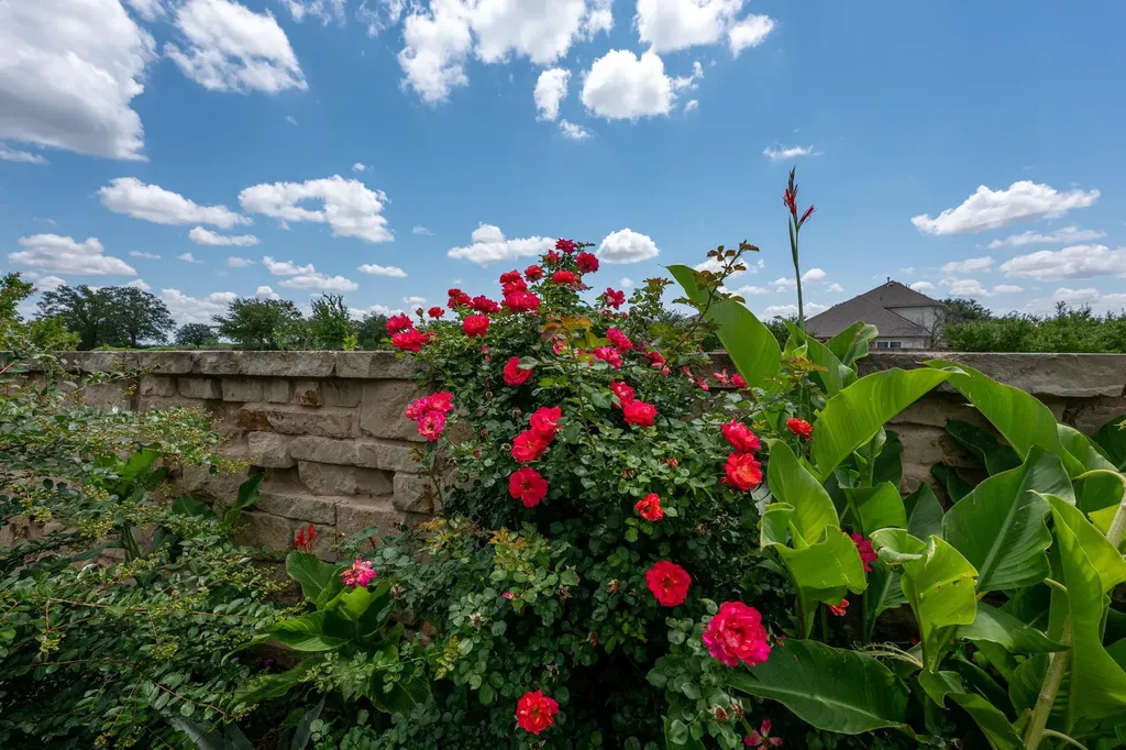 2420 Lobo Landing Cove Georgetown TX 78628