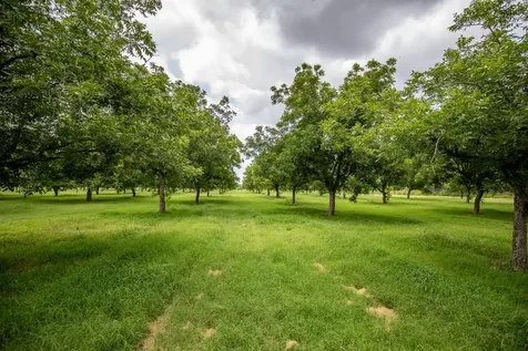 2432 County Road 402 Falfurrias TX 78355
