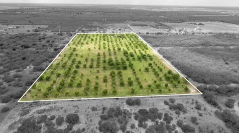 2432 County Road 402 Falfurrias TX 78355