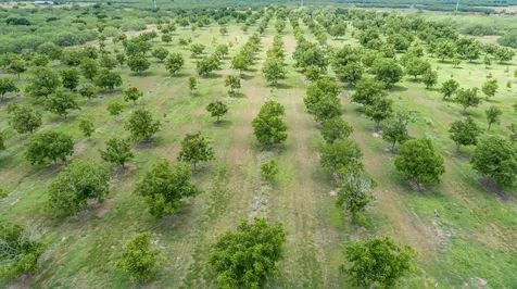 2432 County Road 402 Falfurrias TX 78355
