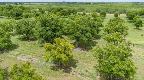 2432 County Road 402 Falfurrias TX 78355