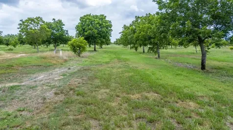 2432 County Road 402 Falfurrias TX 78355