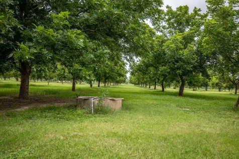 2432 County Road 402 Falfurrias TX 78355