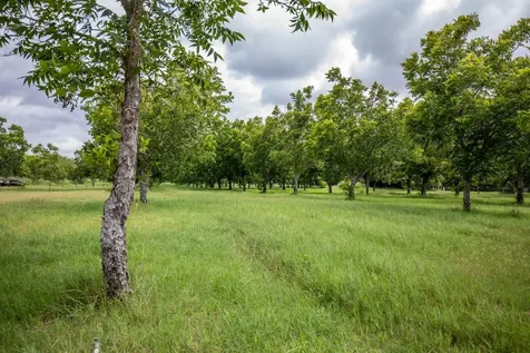 2432 County Road 402 Falfurrias TX 78355