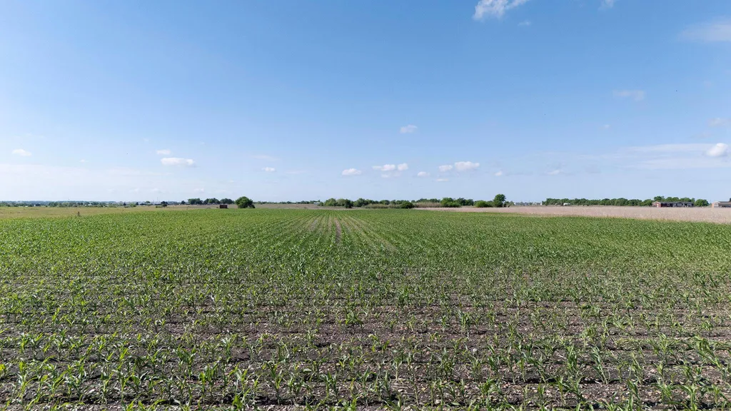 450 County Road 423 Taylor TX 76574