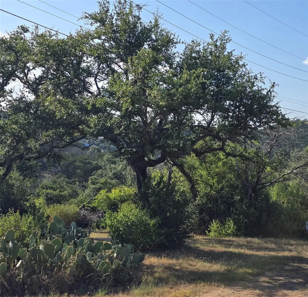 Tbd Elm Road Burnet TX 78611