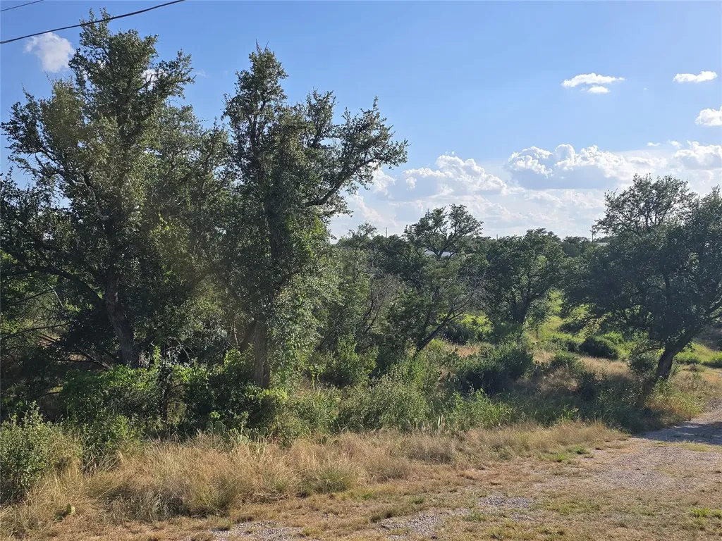 Tbd Elm Road Burnet TX 78611