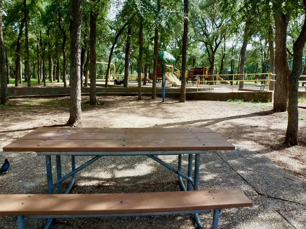 1213 Dunstan Drive Austin TX 78745