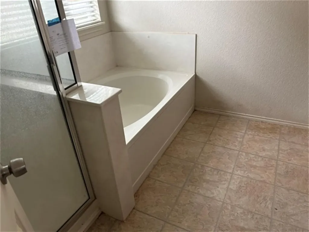 12828 Starbrimson Trail Elgin TX 78621