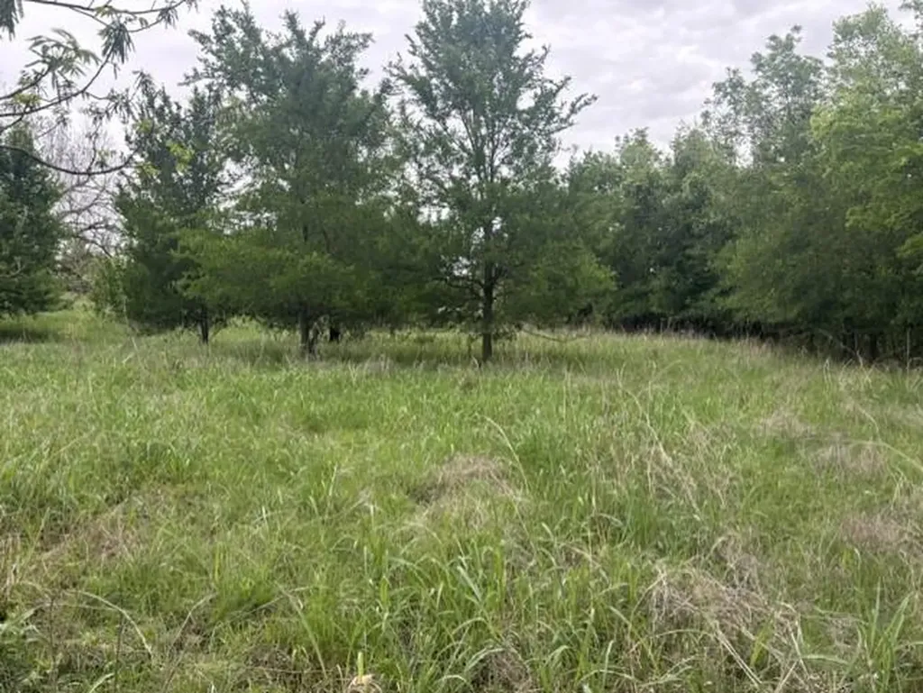 12155 E Travis Street Holland TX 76534